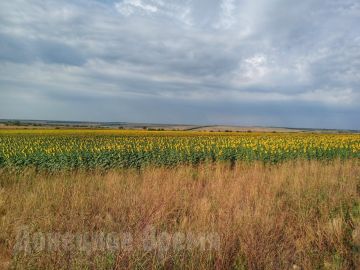 ��������� ���, ������� � �����: ������ ������������� � ��� ����� ��������� ��� �������