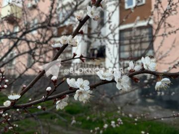 �� ������ ������� �������� �������� �������