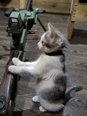 ������ ����, �������!. �������� ����� ������ ������� ������ �� 5.04.2026 �������� �������� ����������: