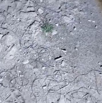 Сергей Колясников: По вчерашнему блэкауту в Донецке