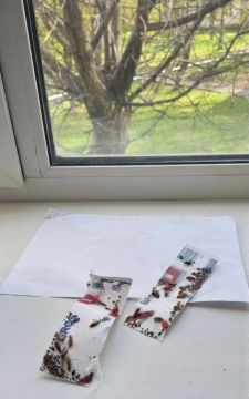 Тараканы в отделении неврологии в Шлаковой больнице Донецка