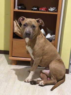 ������ ����������� �������� ���� � ������� �� ���������