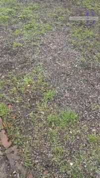 “То ли снег, то ли град размером с горошину”: в Кировском районе Донецка с неба сыплется белая крупа