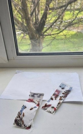 Тараканы в отделении неврологии в Шлаковой больнице Донецка