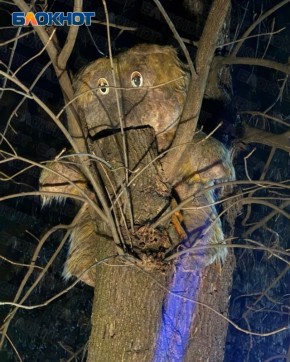 Ужасы Донецка проявляются в ночи