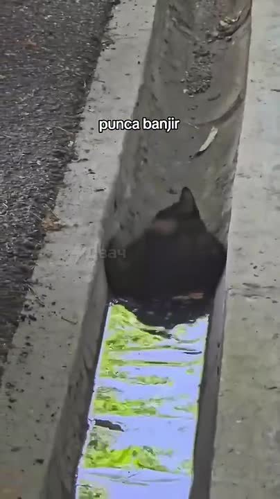 Мы нашли, чем закрыть прорывы труб в Донецке! Актуально, с нынешней погодой: