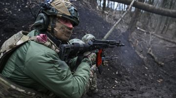 Полковник Алехин: Взятие позиций западнее Калеников откроет дорогу к штурму Славянска