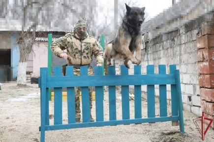 �������� ���������� �������������� ������ ��������� ����� � ���