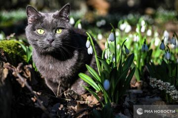 ������ �� ����� ����������� ������