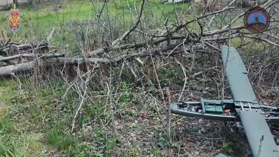 ������� ���� ����� ��� ������
