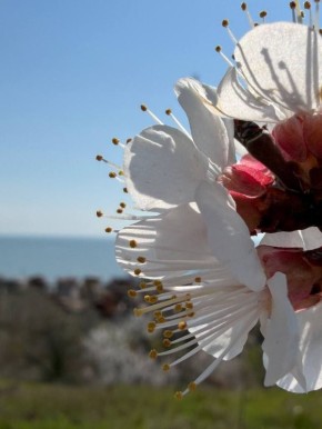 ������ ����, ������� ��� ���!