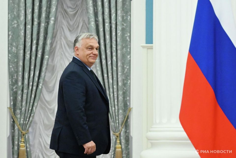 "������ ������": �� ������ ��������, ��� ���� ������� ����� ����� ������