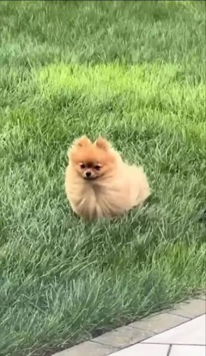 ������ ������� ����������������