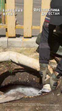 Молодёжка Народного фронта из Донецкой Народной Республики одной из первых прибыла в Дагестан, попавший под удар стихии