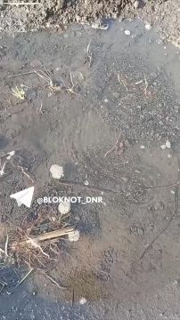 Жители Лидиевки много лет живут без воды, которая растекается у них по дорогам