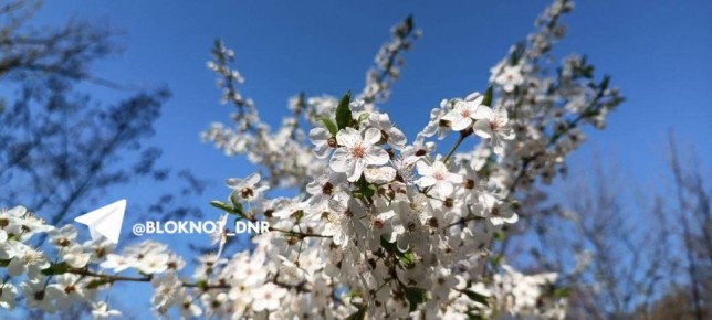 ����� ���� 30-����� ������ � ��������� ������ �������