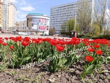 ������� ��������: �������������� �������� ������� � ������� �������!