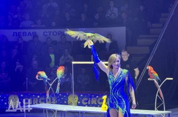 �������� ���� ������� ������ � ������� ����������� � ���� ����