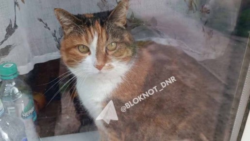 � ������ ������ �����, �� �������� ������� ����� � ����