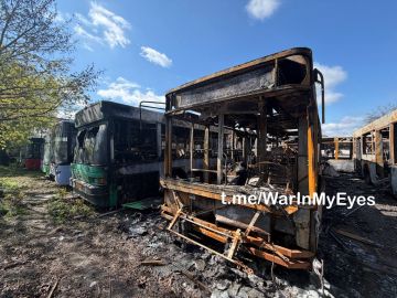 ����������� ������� �������� ���� �� ���������� ����������������� ����������� � ������������ ������ ������� �����