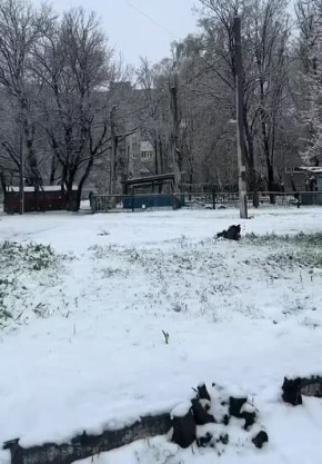 ���� � ������� �������, � �������� ����� ����