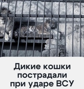 ������ �������� ������� �� ��������, ���������� ��� ������� � �������