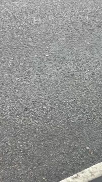 ��������, ��� ������� � ������� ����� ����