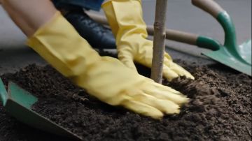 ���� ������: ������� ������ ������������� ������!