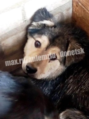 ������� ��������: ������� ����������� ��������� � ������ ������ ���� ��������� ��������� ������ � ����� ��������� �������� ���� �� ���������� �����