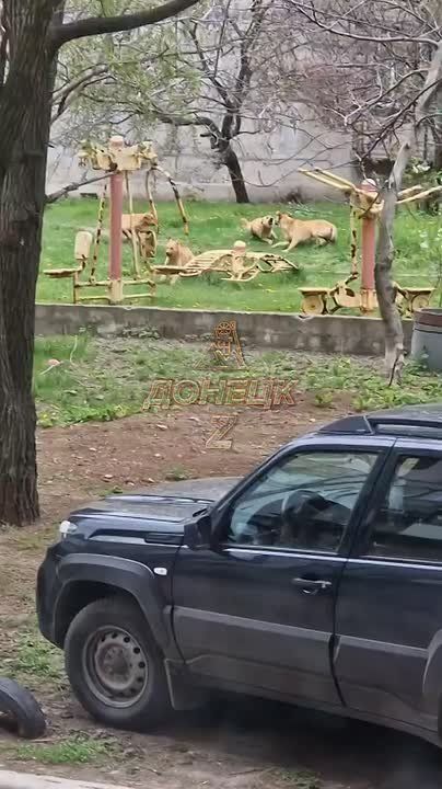 ����� ����������� ����� ������������ ��. ����������� � ��������, ���� �� ����� ����� �� ����