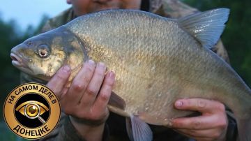 �� 28 ��� ����������� ���� � �������� ���� ����������� �� 95% � � 35,6 ��� ������ � 1994 ���� �� 1,8 ��� � 2022-�