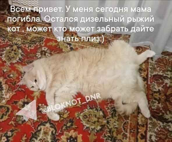����� ���� ����� ���: � �������� ������� ������� �������, �� ������� ������ �����������