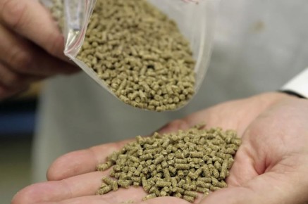 ���������� ����������� ������ �� ������������� � ��������������� ������� �� �������� �������� ���������� � ��������� �������� ���������� �����������, ��� ������������������ ������� ������� � ��������������� � 24.04.2026...