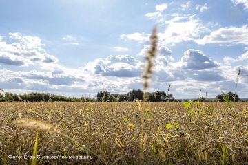 ��������� � �������� 1 ���� ����� ���� �� ��������� ������� � ������