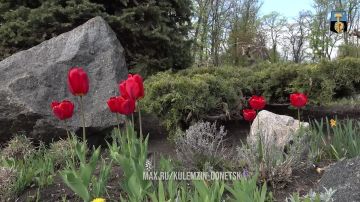 ����� ���������. ������������