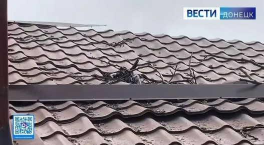 ����������� ����� ���� ��� � ������������� ������ �������