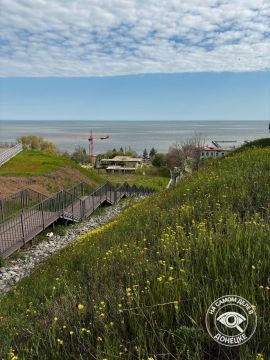 ������ ����, ���������� �������!