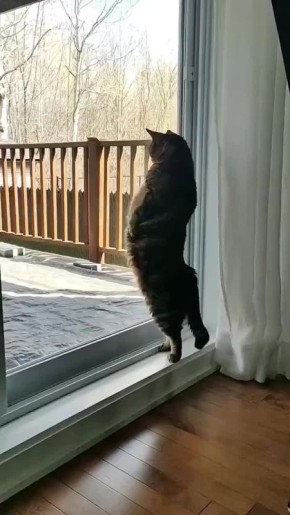 ������ �������: ������ �������� �� ������� ��������