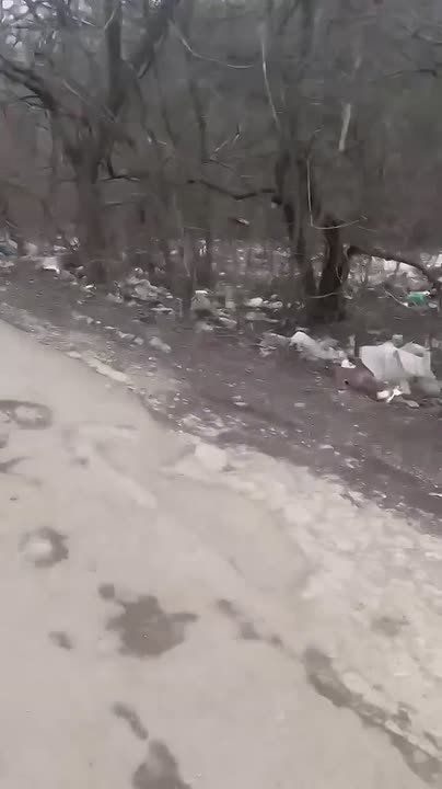 ������ ��������, ��� ����� �� ��������� � �������� ����� ������� �� ���� ������