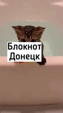 �������� ���� ��� ������������ ��������� � ��������� �� ���������
