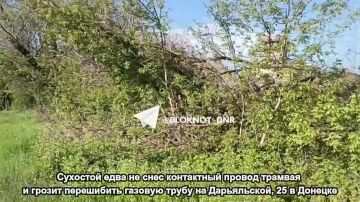 �������� ���� �� ���� ���������� ������ ������� � ������ ���������� ������� ����� �� �����������, 25 � �������