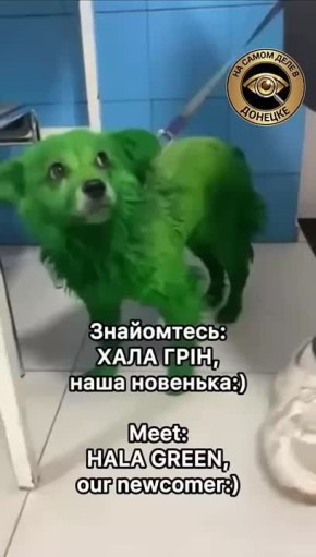 � ���� ��� �������������� ��� ����������� ������� ������� ������