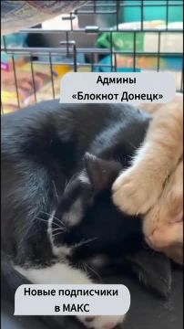�������� ���� ��� ������������ ��������� � ��������� �� ���������