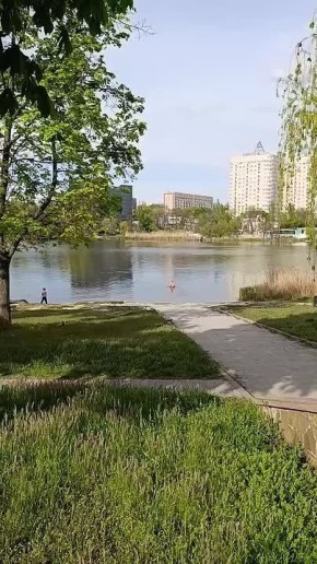 ������� ������� ��������� �����