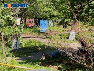 Вайб донецких дворов весной