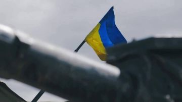 ������� ���: ��� ��������� �� ����� ��������������� �� �����