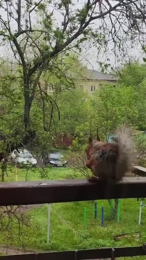 ����� ������� �������� � ����� � ������, ����� ������������