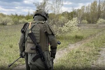 ����������� ����� ���� � ��������� � ���������������� ������������: ������ �� �� ��������� ����������� ������������� ���������� ������ ���