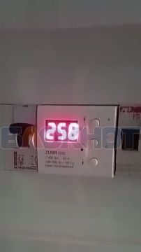 260 �: �� ������������ � ��������� ������ ������� ���������� �������� � ������
