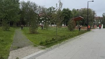 Специалисты МУП АГОД ДНР «Зеленое строительство» осуществили комплексное благоустройство и покос сорной травы в сквере «Металлург»